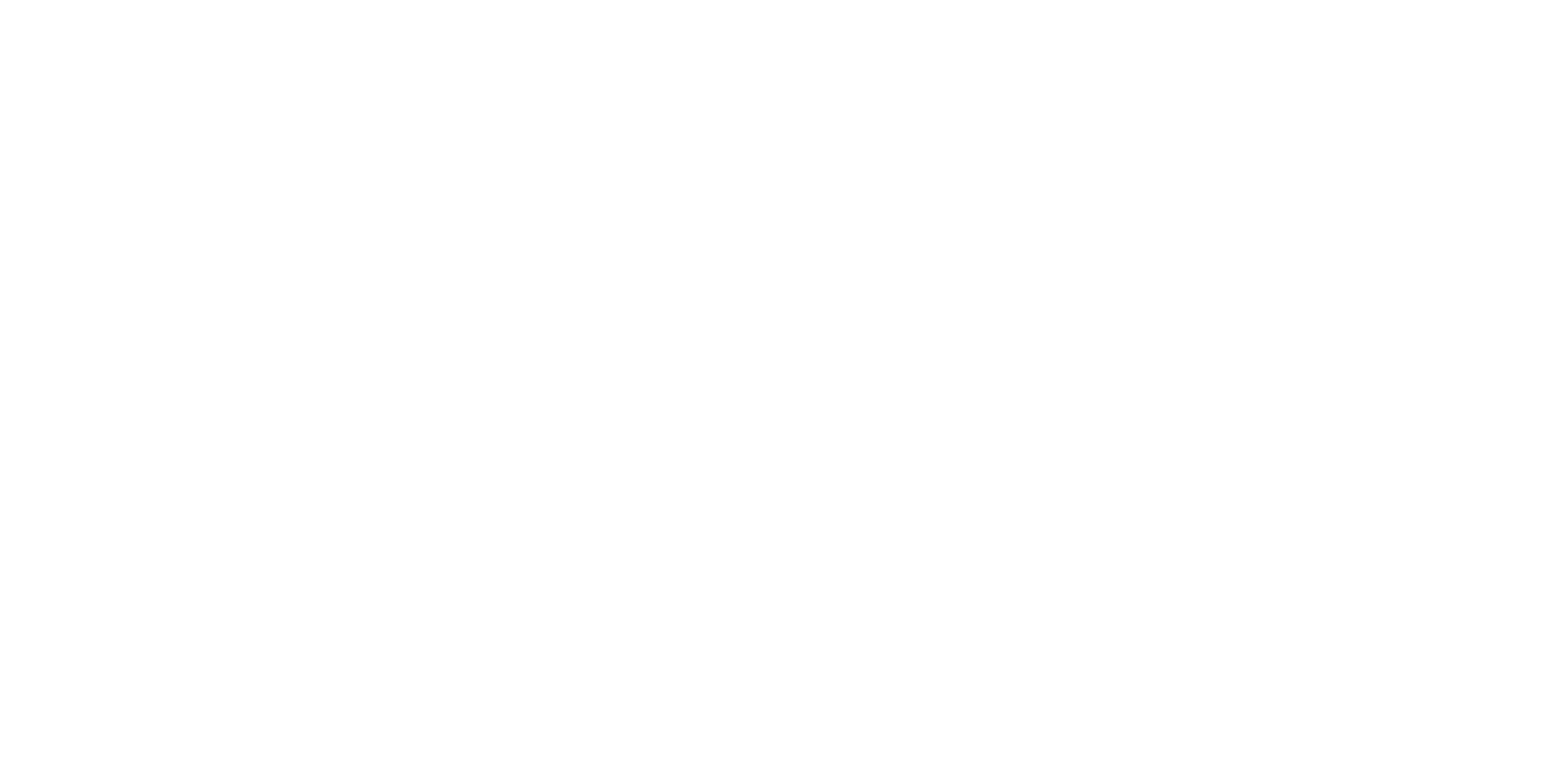 NESA Foooter Logo