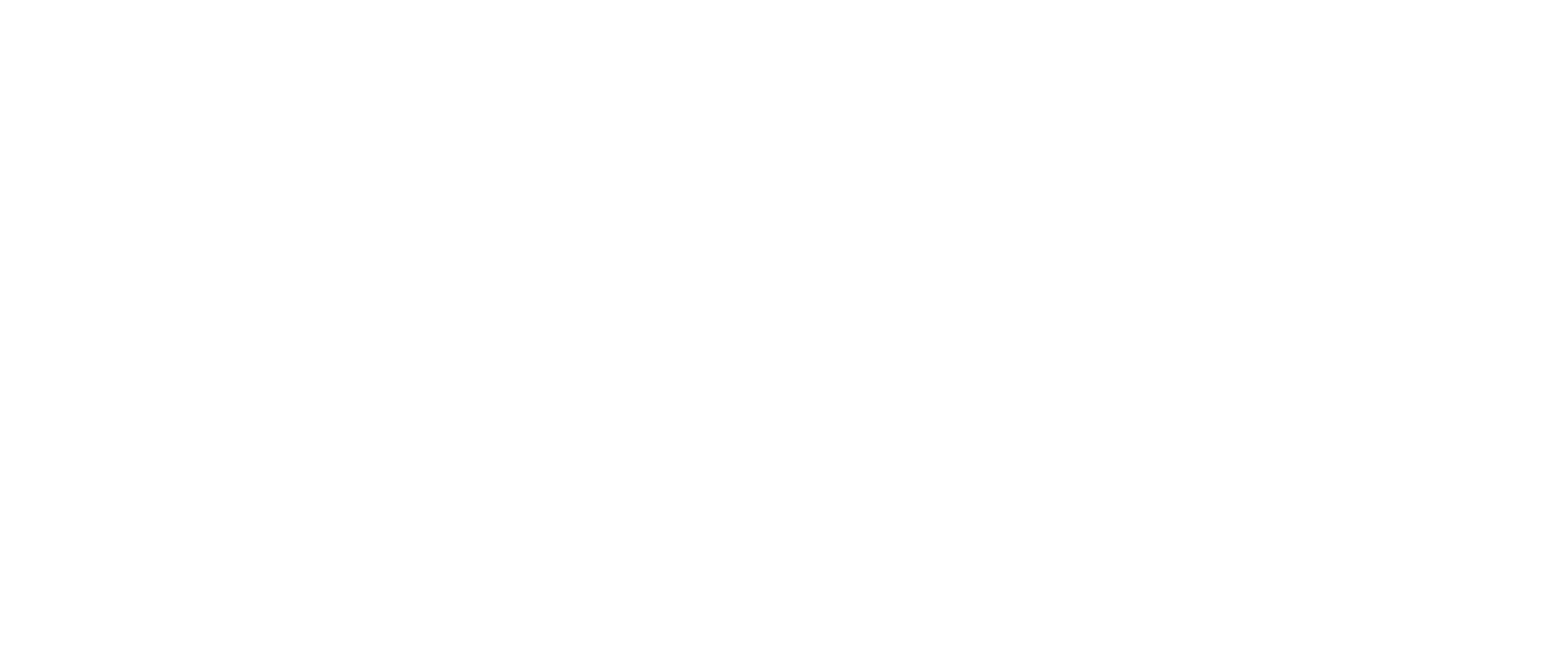 NESA Team